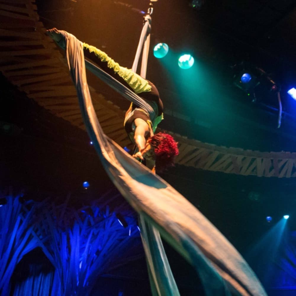 Aerialist