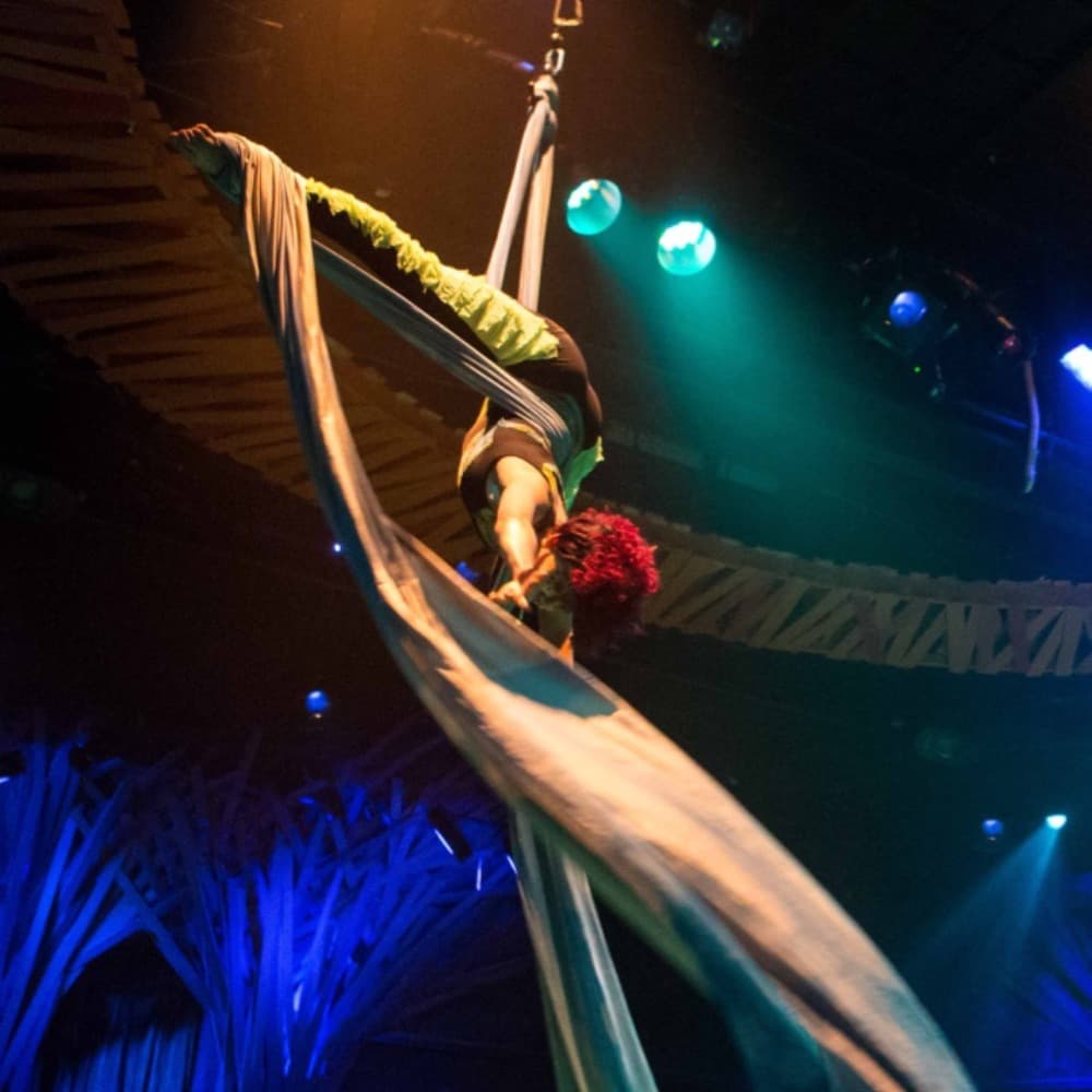 Aerialist Image #0