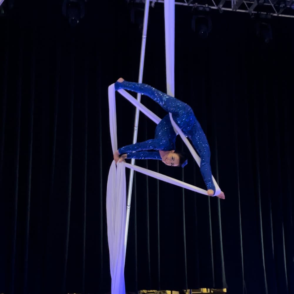 Aerialist Image #1