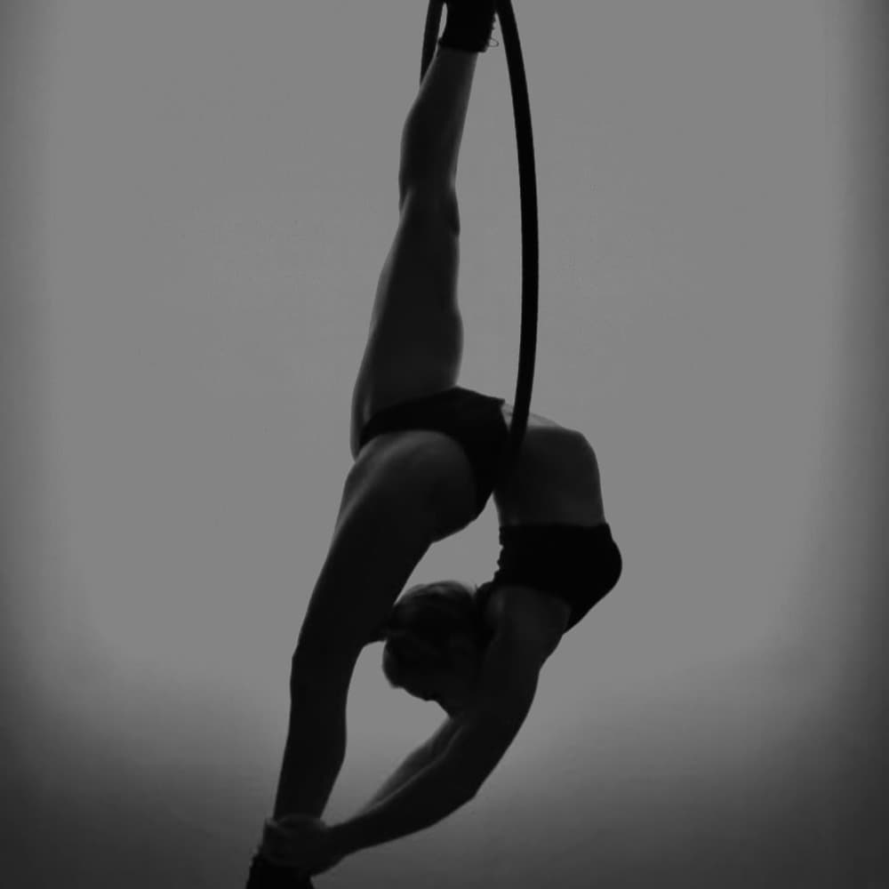 Aerialist Image #4