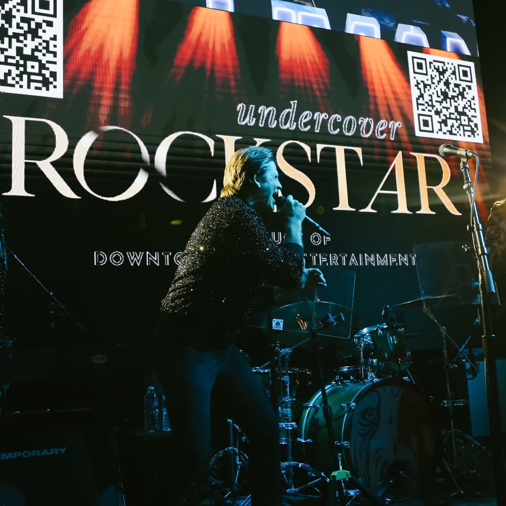 Undercover Rockstar Image #3