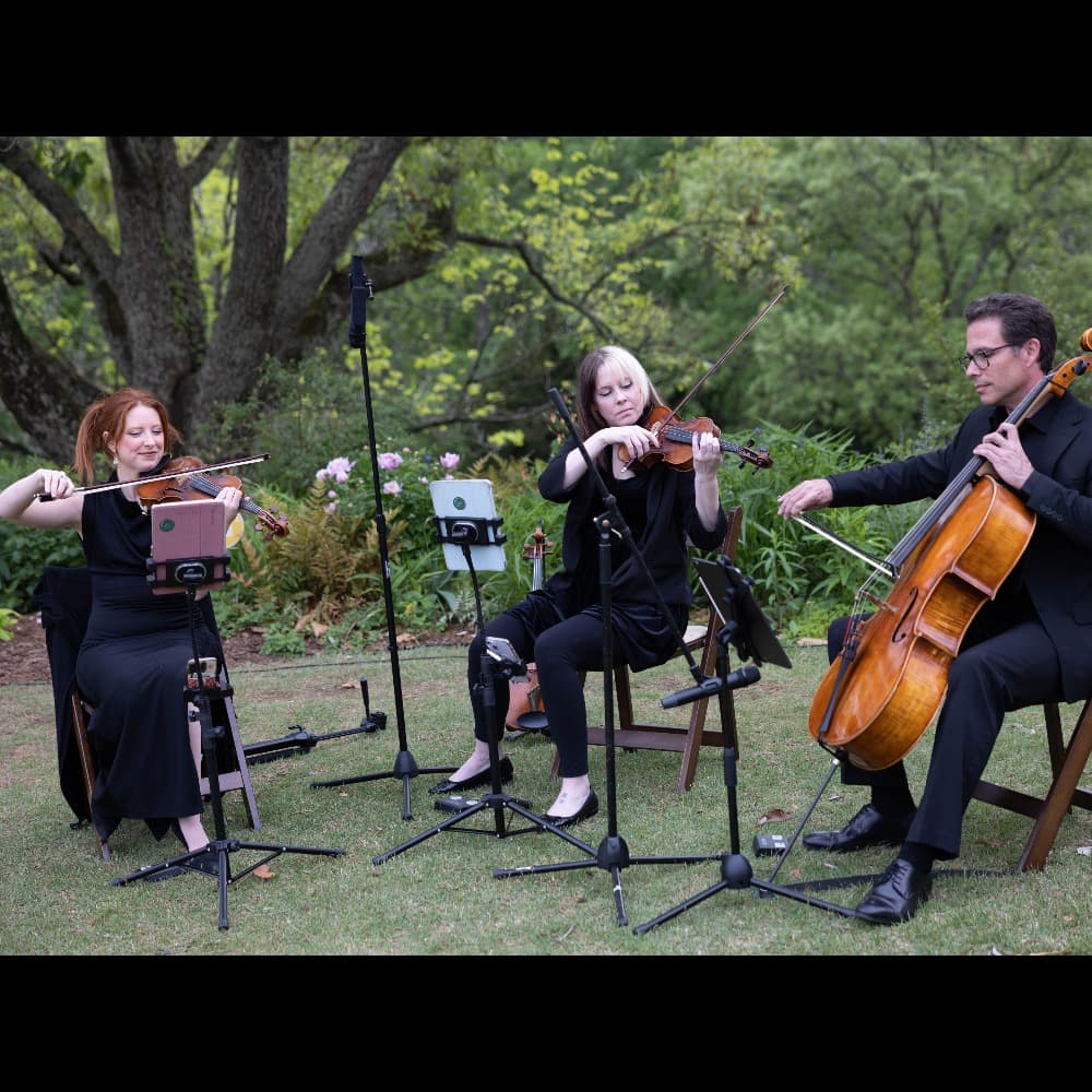 Southern Strings Image #1