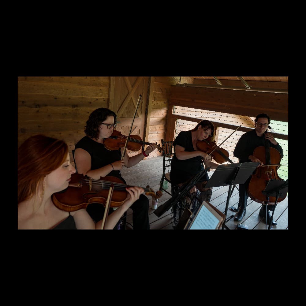 Southern Strings Image #2