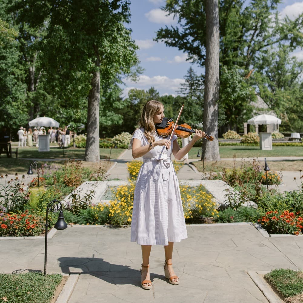 Elegant Violin Image #2