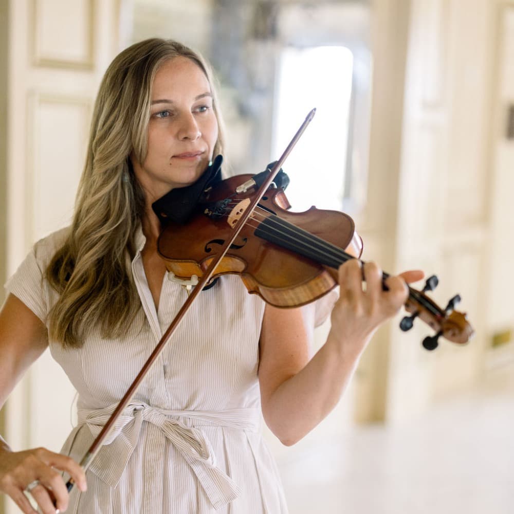 Elegant Violin Image #3