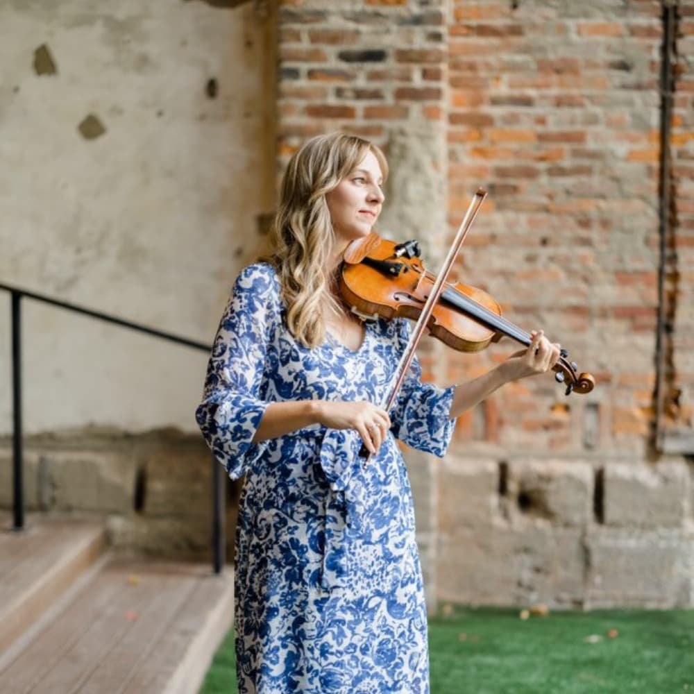 Elegant Violin Image #5