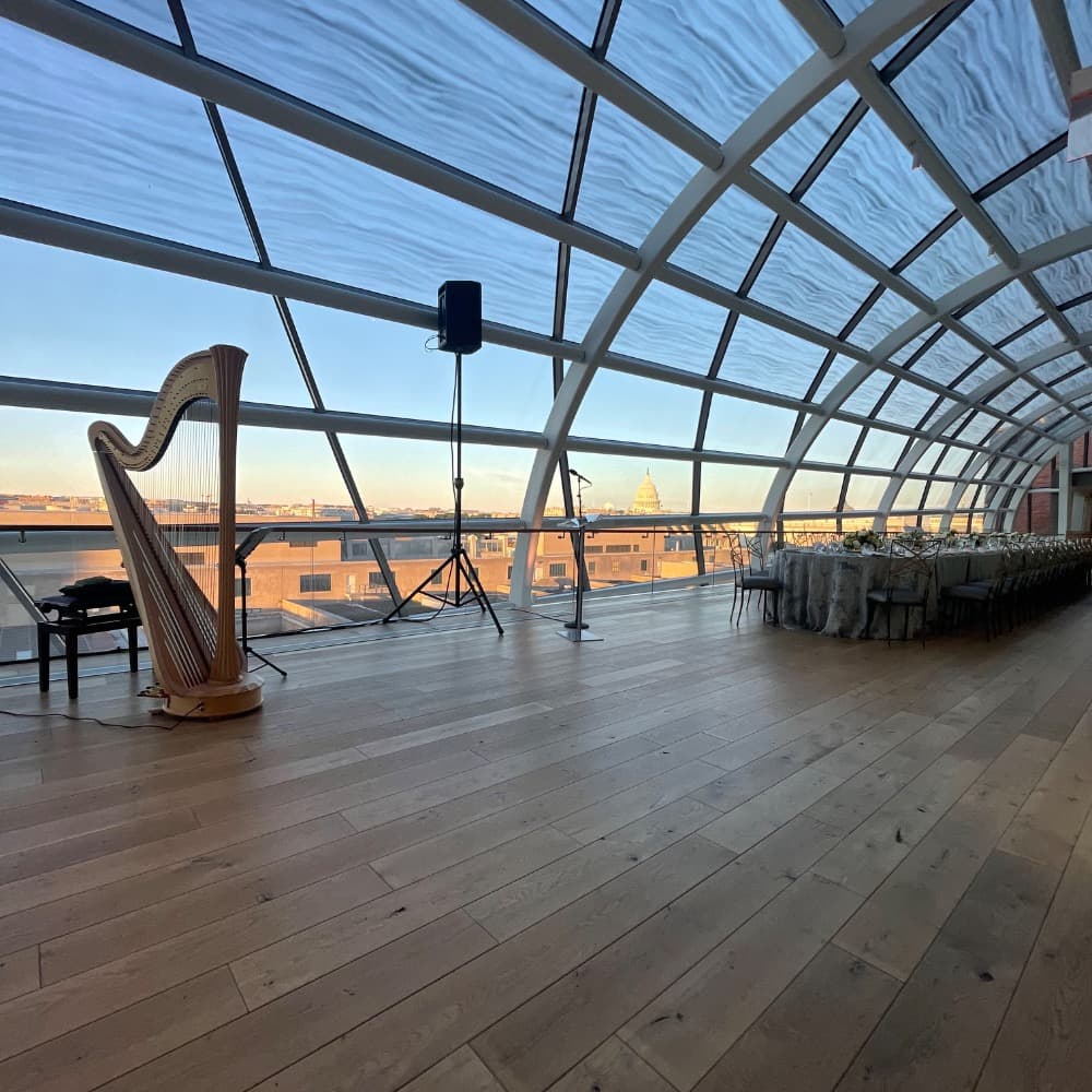 Carrie Tollett Harpist Image #2