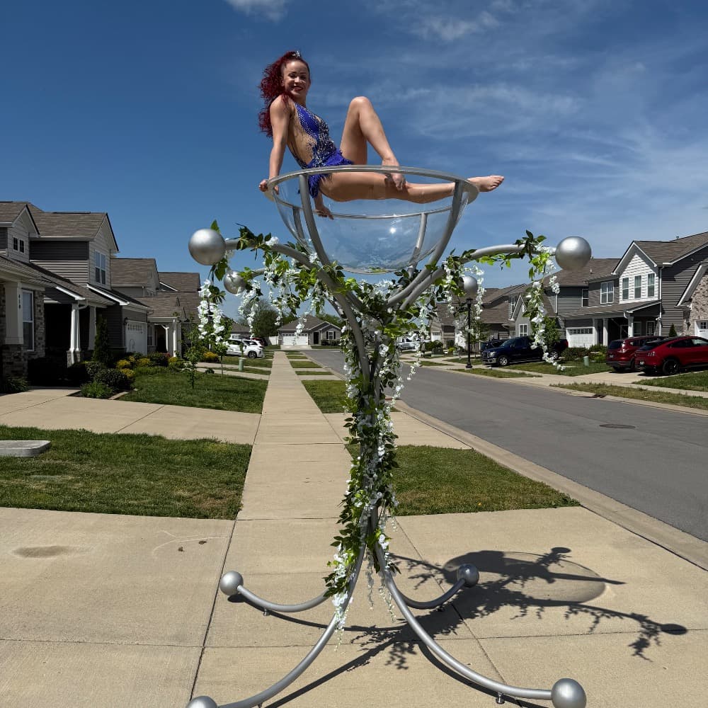 Aerialist Image #5