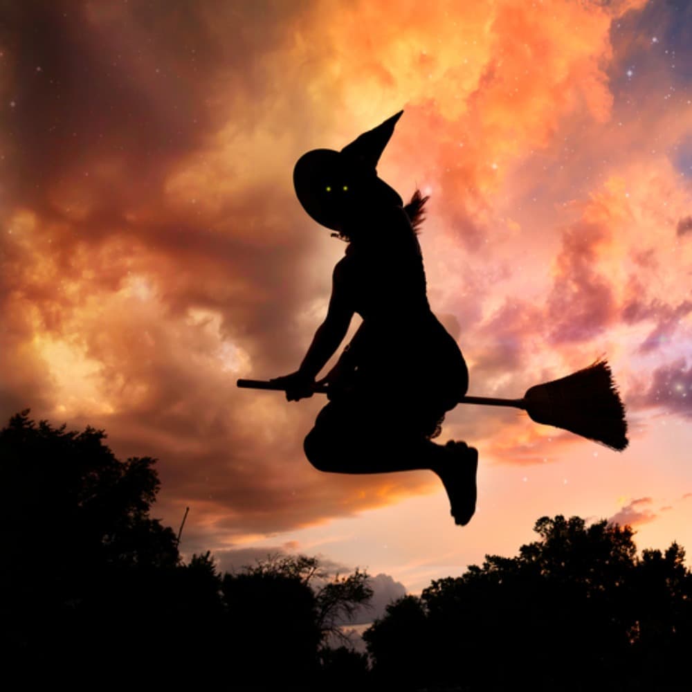 Mystic Witches of All Hallows Eve Profile Picture