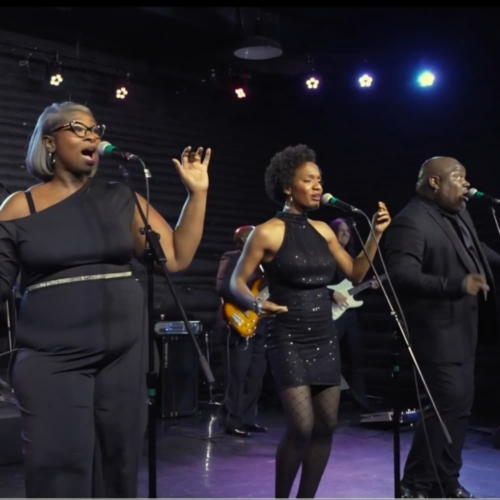 The Nashville Soundz Party Band Profile Picture