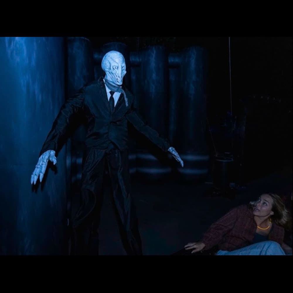 Stilt Walkers Image #5