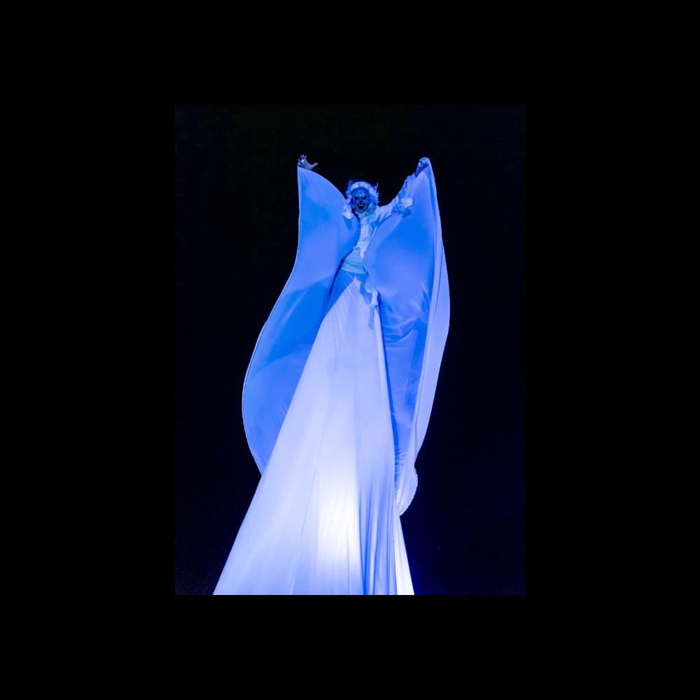 Sway Pole Performer Image #3