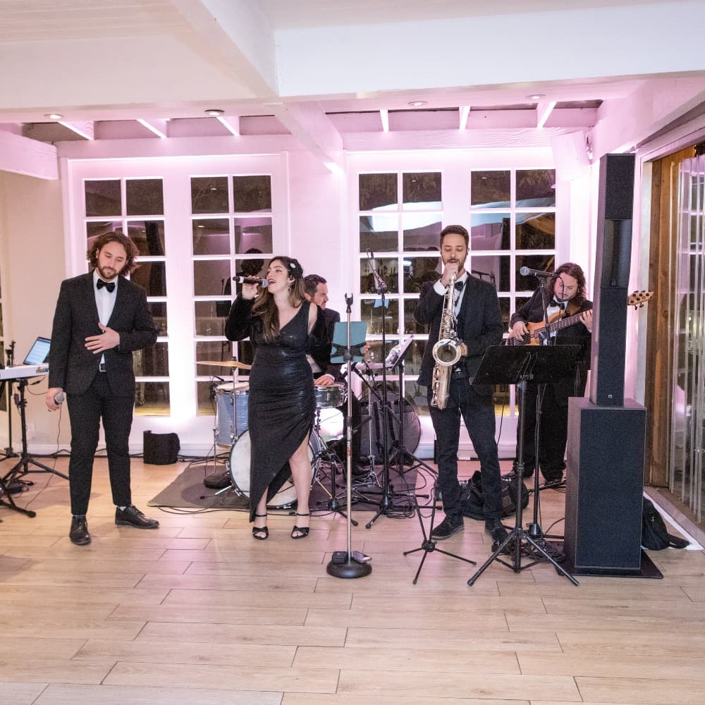 Sunny Vintage Band Image #1