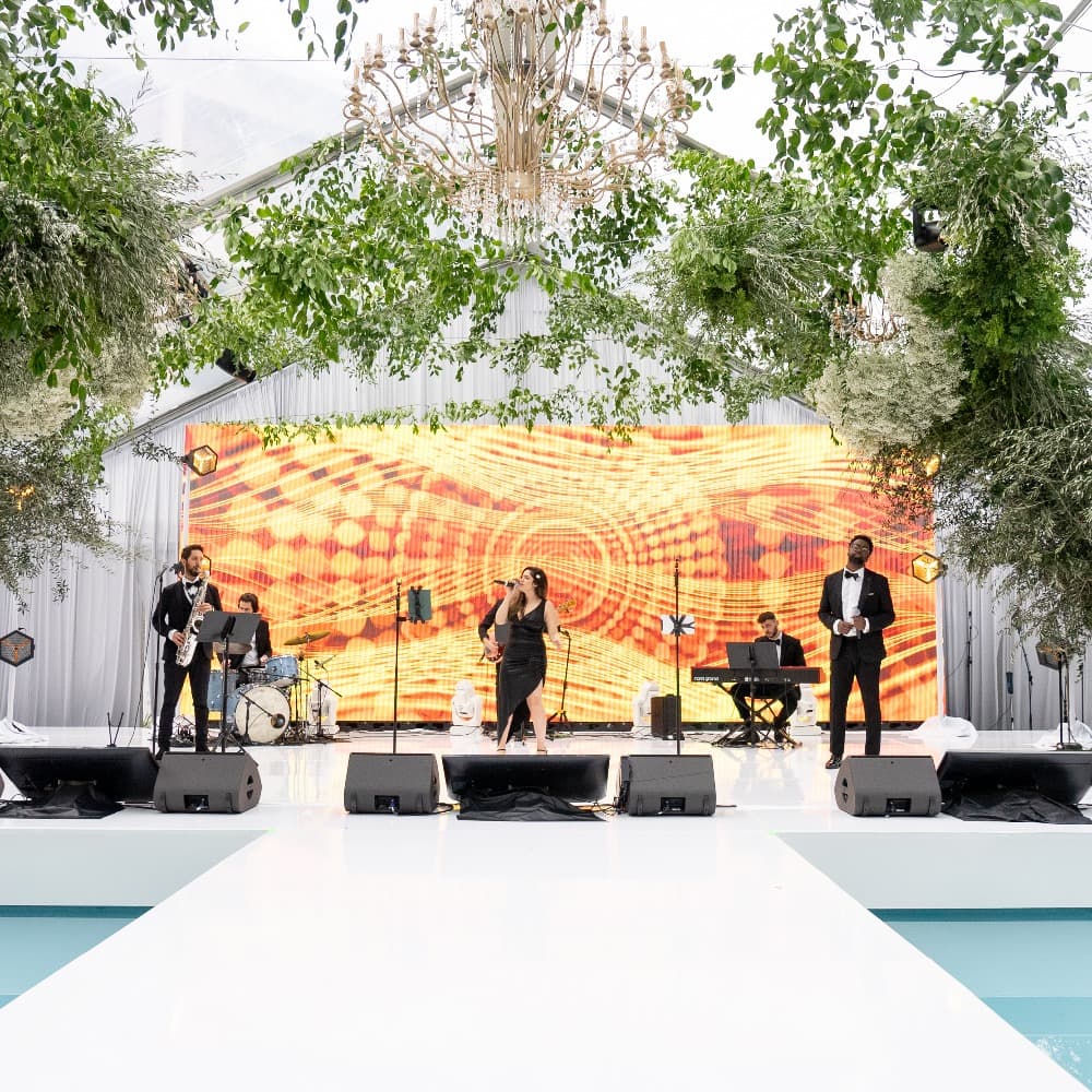 Sunny Vintage Band Image #2