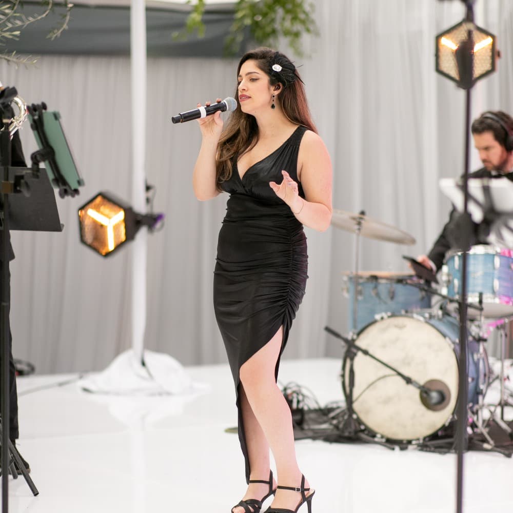 Sunny Vintage Band Image #4