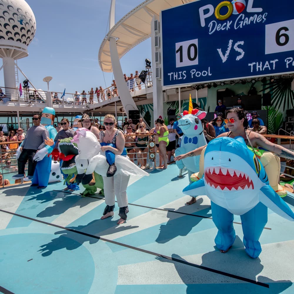 Your Rocktioneer® Image #2