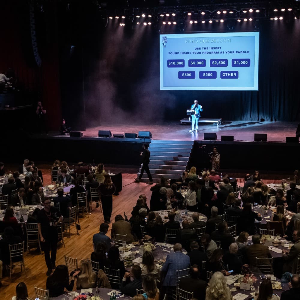 Your Rocktioneer® Image #4