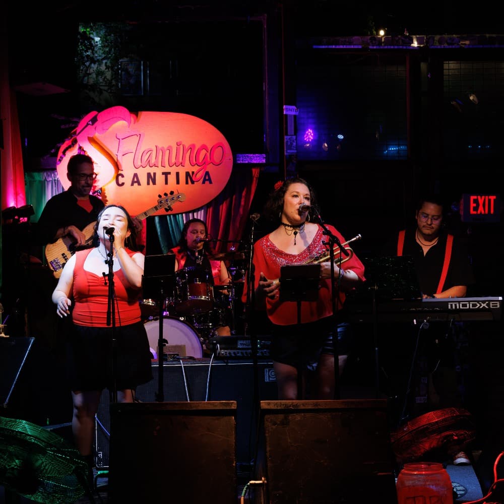 Los Gatos 512 Image #5