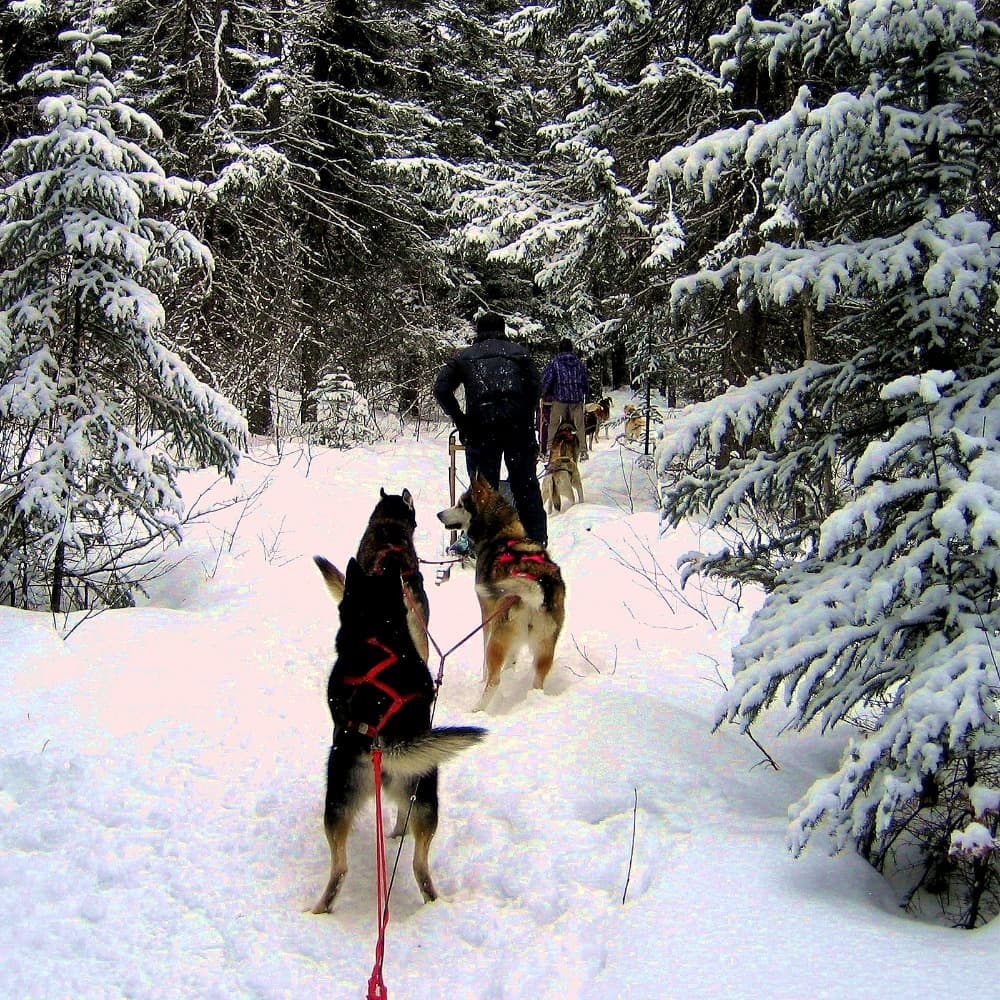 Chris Heeter Image #0