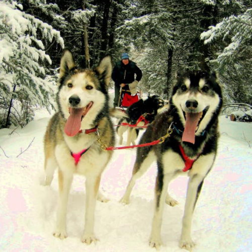 Chris Heeter Image #1