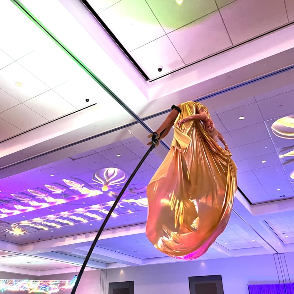 Sway Pole Performer Image #5