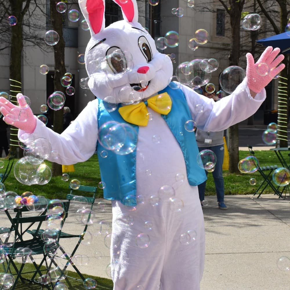 Easter Bunny Profile Picture