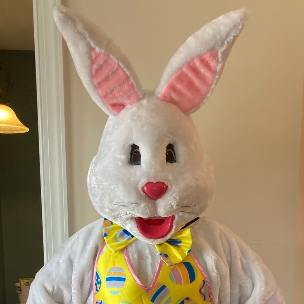 Easter Bunny Image #0