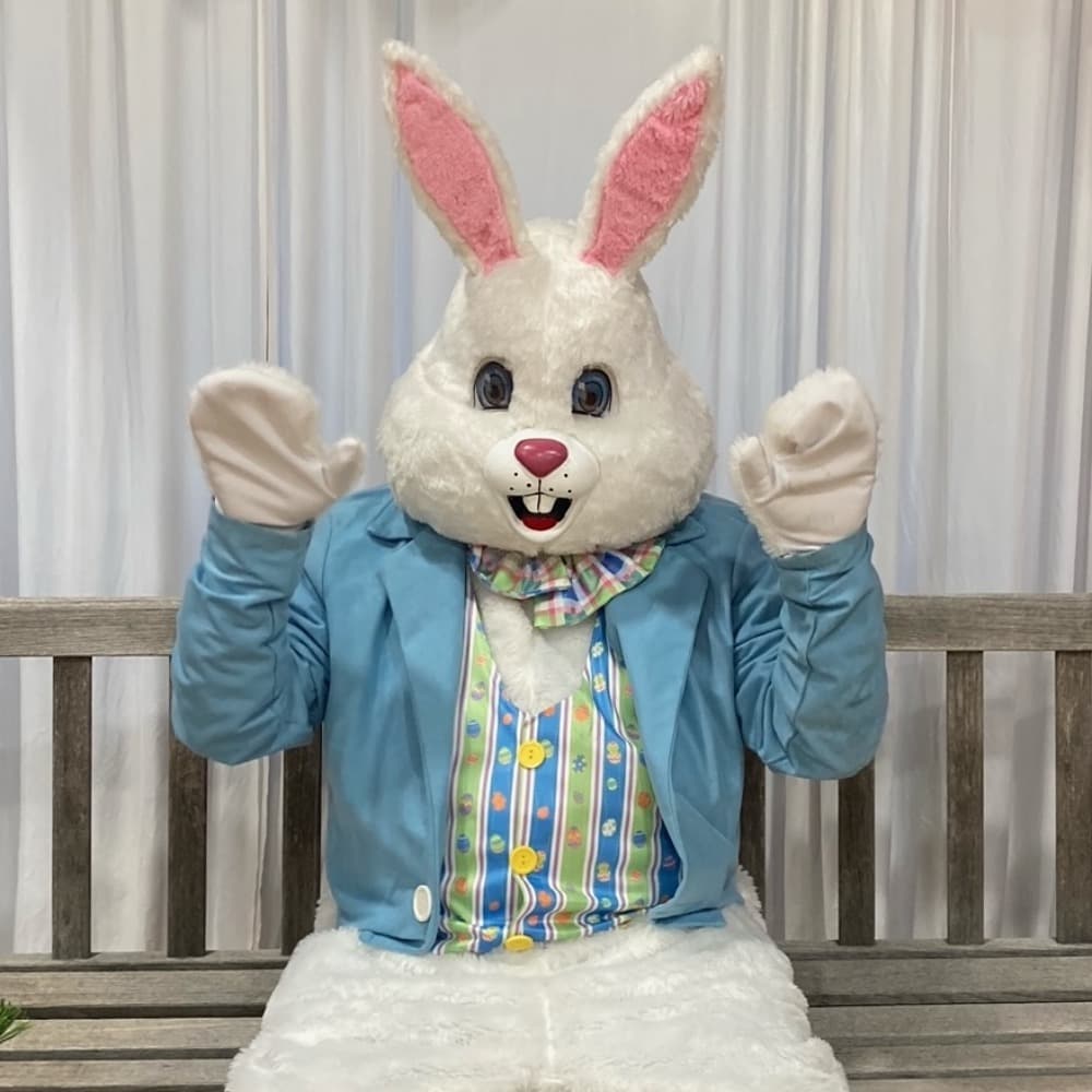 Easter Bunny Image #1