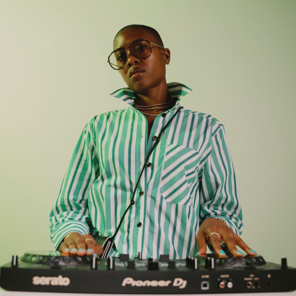 See Bird Go Image #4