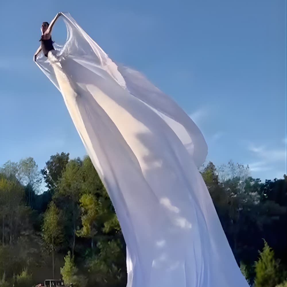 Sway Pole Performer Image #4