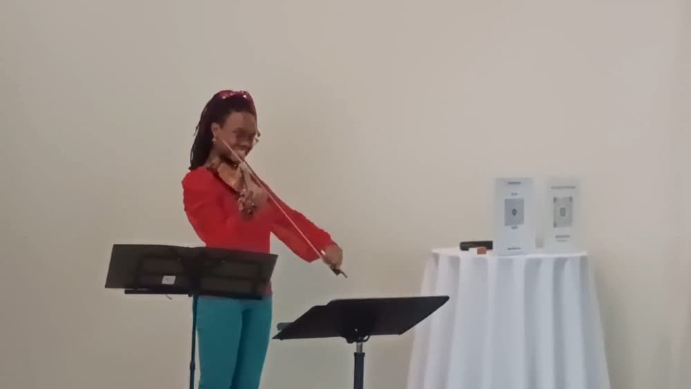 Pianist & Violinist Marini Kelley Image #4