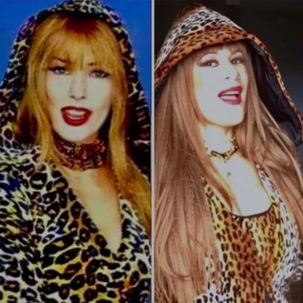 Shania Twain impersonator-Michelle Spaziano Profile Picture