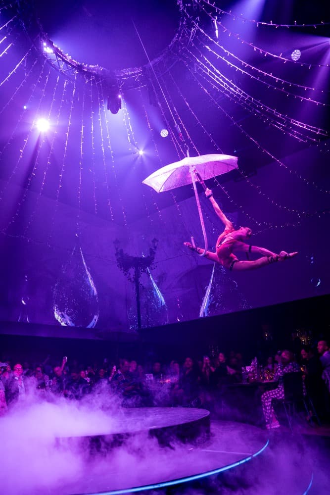 Aerial Umbrella photo 6