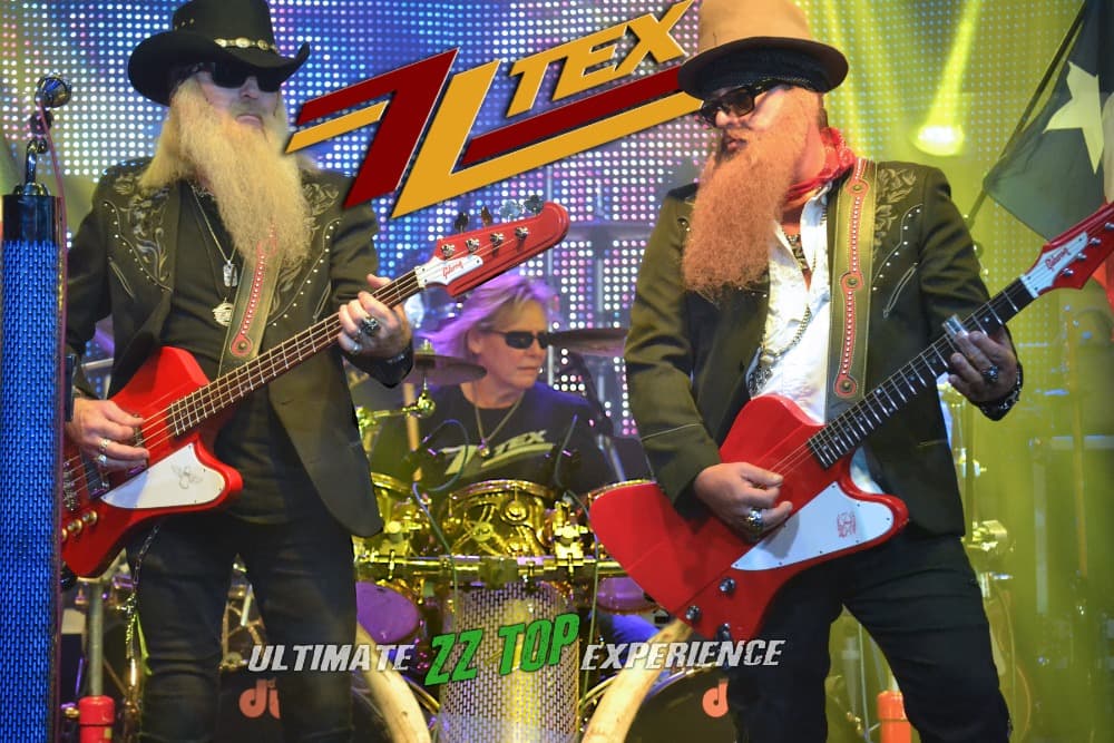 ZZ TEX photo 2