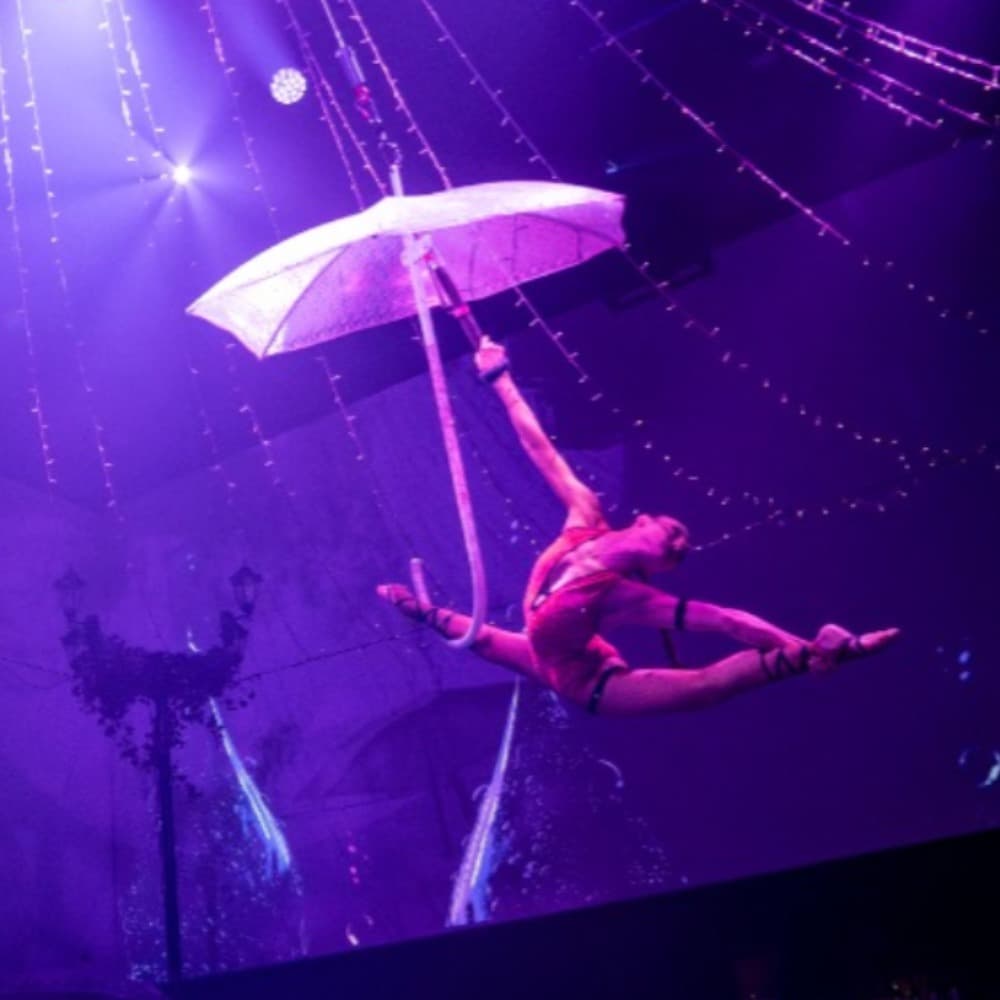 Aerial Umbrella Profile Picture