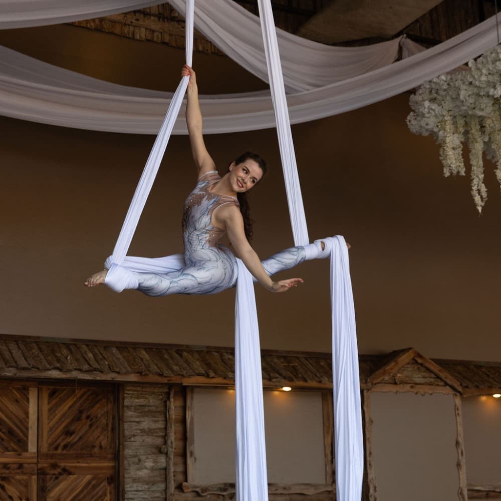 Aerialists- Nashville