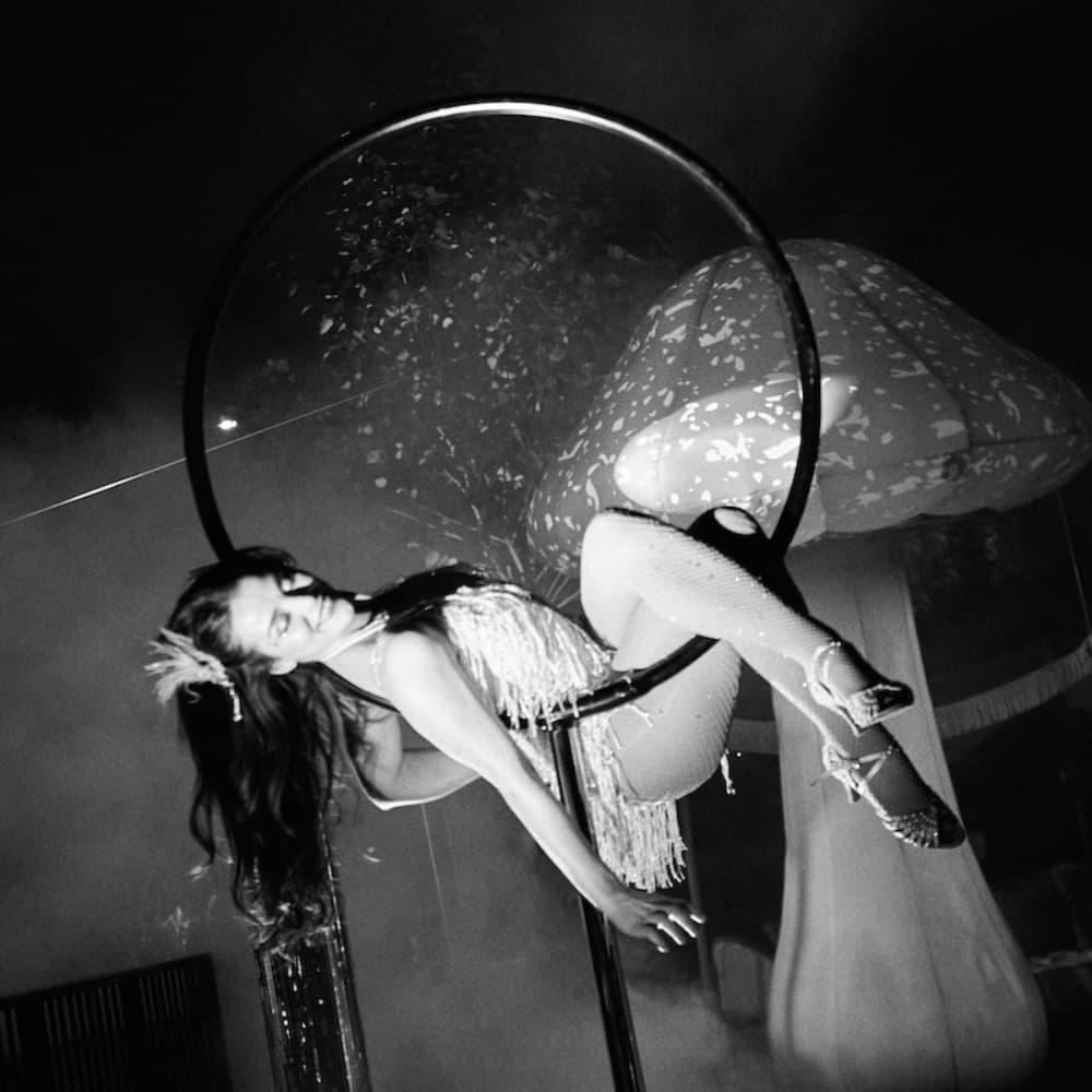 Lollipop Lyra Aerialists Profile Picture