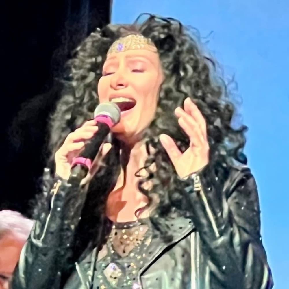 Lisa Irion Tribute to Cher profile photo