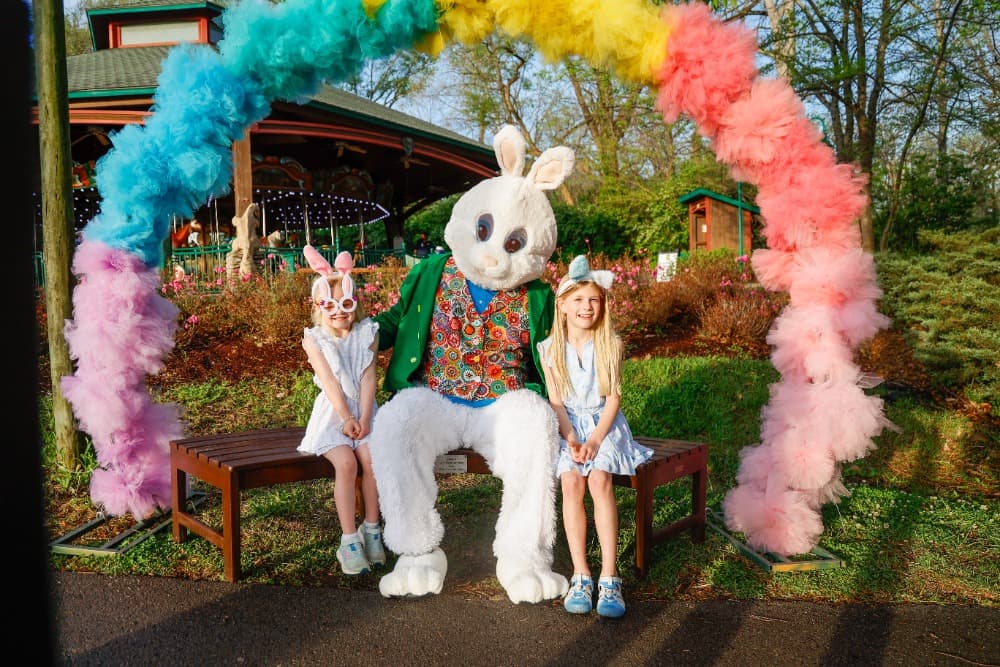 Easter Bunny photo 3
