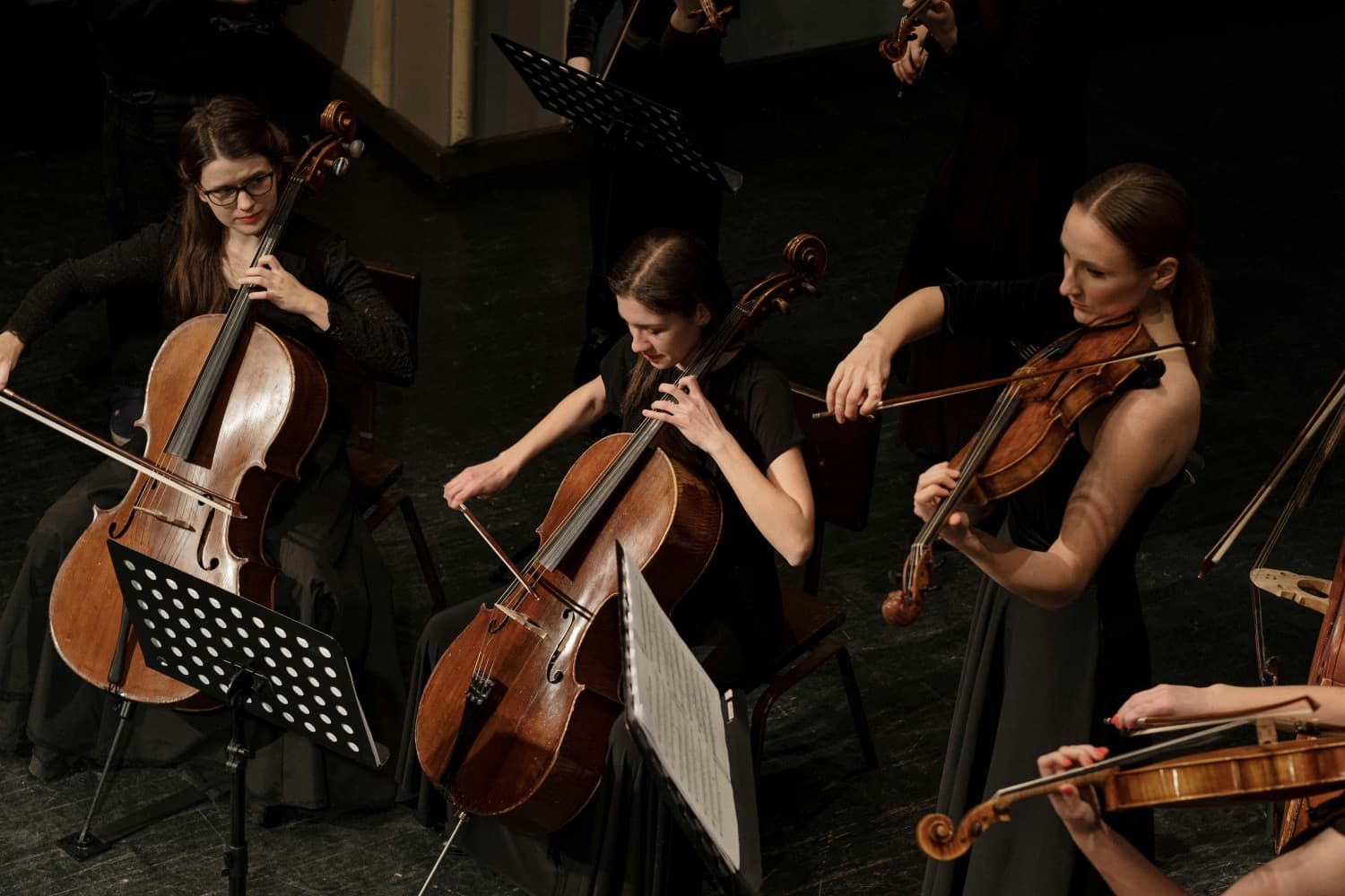 Musical Magic: What You Need to Know About Hiring an Orchestra