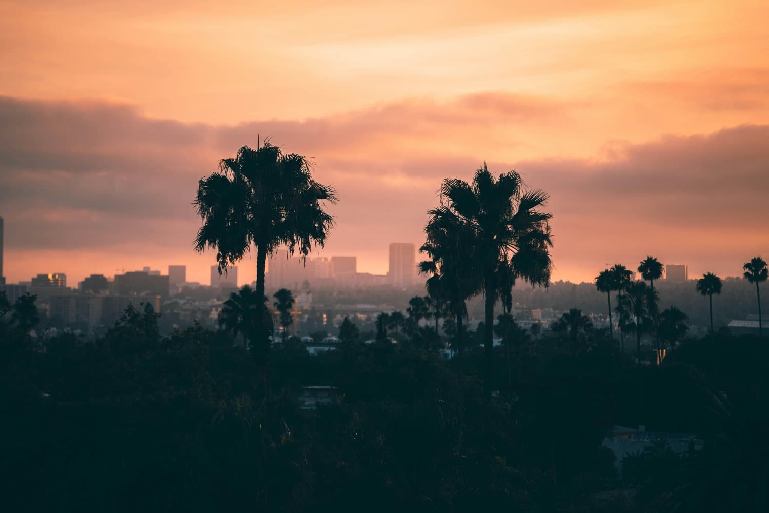 Corporate Events in Los Angeles: Where Business Meets Star Power