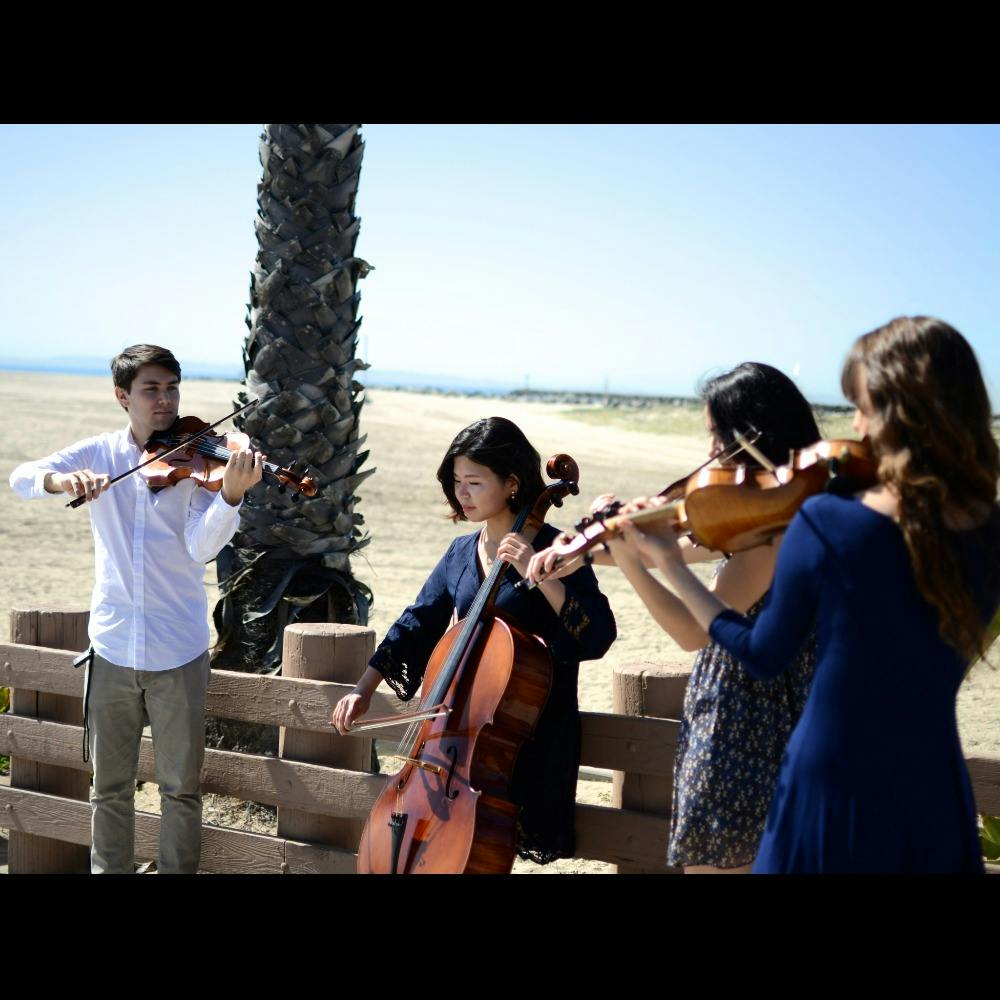 Oceanside String Quartet Profile Picture