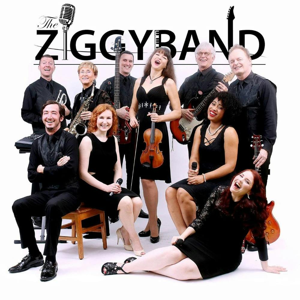 The Ziggy Band Profile Picture