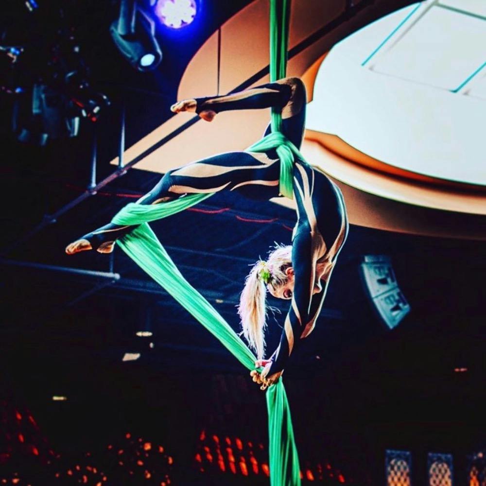 Goodness Gracious Aerialists Image #0