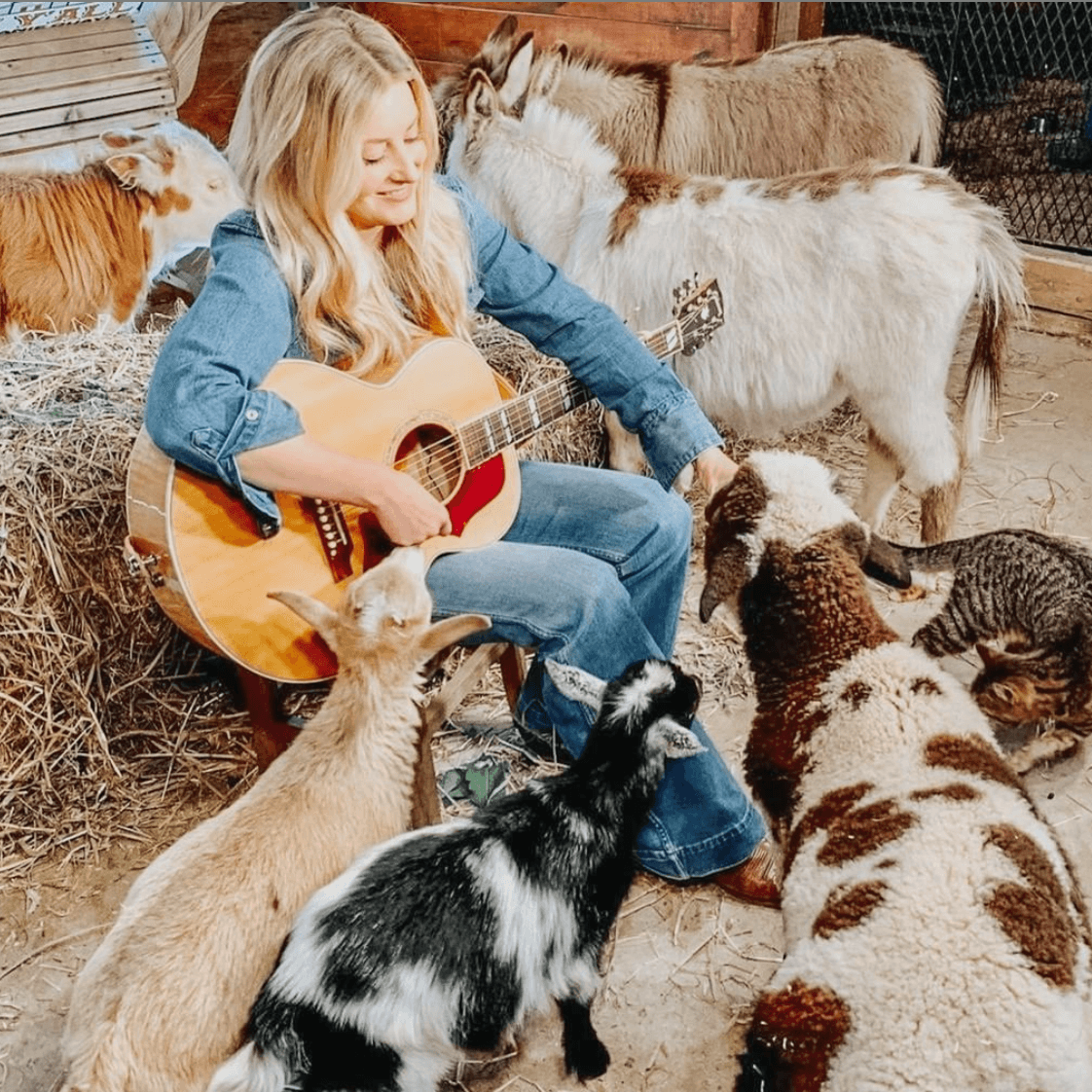 Stephanie Quayle's Virtual Mini Farm Animal Experience
